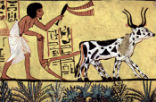 Image of Egyptian civilization was among the first to perfect neolithic agriculture. Were these developments forced by a cosmic cataclysm? 
