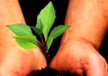 Image of What does God say about preserving the Earth?