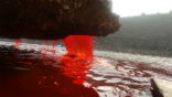 Image of Scientists have discovered at least 17 different microbes in the water of Blood Falls. 
