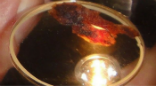 Image of The Eucharistic miracle from Buenos Aries was sent to the USA for testing. 