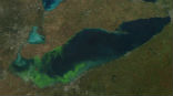 Image of Lake Erie is swelling to record levels. The brig green streaks on the image are caused by algae blooms.