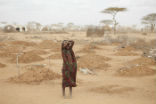 Image of Democide takes many forms including artificially induced famine. 