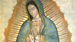 Image of Archbishop Gomez says Our Lady of Guadalupe's apparition to St. Juan Diego is the true founding event of this country and continent. 