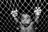 Image of The Vatican has asked all nations at the UN to help in the fight against human trafficking. 