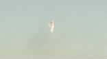 Image of Youlanda Pope Britten captured this photo of an angel ascending into heaven.
