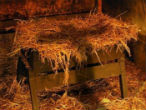Image of What are Christmas and Easter without Christ? 