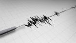 Image of Earthquakes are one disaster for which we still have no warning. 