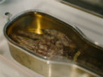 Image of The arm of St. Francis Xavier is touring Canada. 