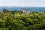 Image of The jungle continues to hide ancient cities and secrets, which only now are being rediscovered. 