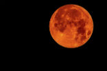 Image of During a lunar eclipse, the moon can turn orange to blood red or black. 