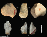 Image of These hand axes are dated to 2.1 million years of age. Photo: Prof Zhaoyu Zhu.
