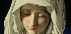 The Message of Mary Image