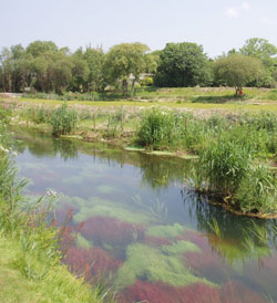 Image of St. Erth Image of St. Erth