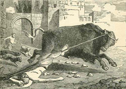 Image of St. Saturninus Image of St. Saturninus