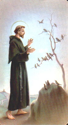 Image of St. Francis of Assisi Image of St. Francis of Assisi