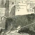 Image of St. Saturninus