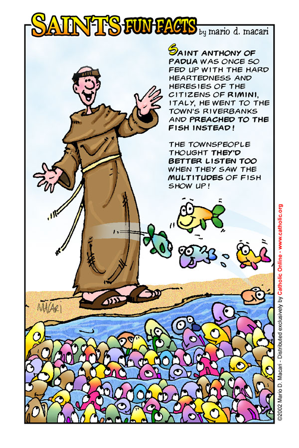 St. Anthony of Padua Fun Fact St. Anthony of Padua Fun Fact Image